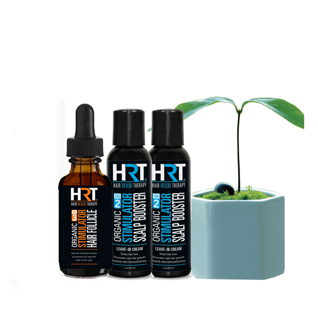 Organic Hair Rescue Therapy System